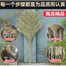 大掃帚